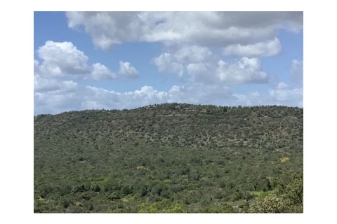 Helårsgrund i Paderne, Faro, Paderne - € 95.000 | Ref: 338250049 - foto 19