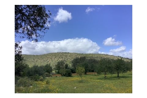 Helårsgrund i Paderne, Faro, Paderne - € 95.000 | Ref: 338250049 - foto 20