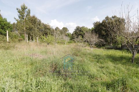 Helårsgrund i Gondomar, Porto, Gondomar - € 99.500 | Ref: TE0156 - foto 13