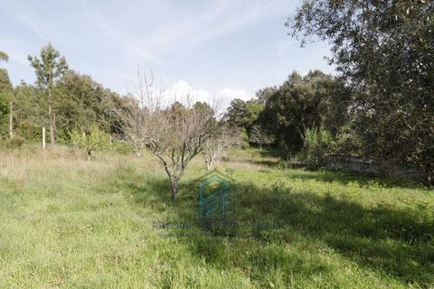 Helårsgrund i Gondomar, Porto, Gondomar - € 99.500 | Ref: TE0156 - foto 14