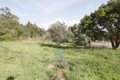 Helårsgrund i Gondomar, Porto, Gondomar - € 99.500 | Ref: TE0156 - foto 15