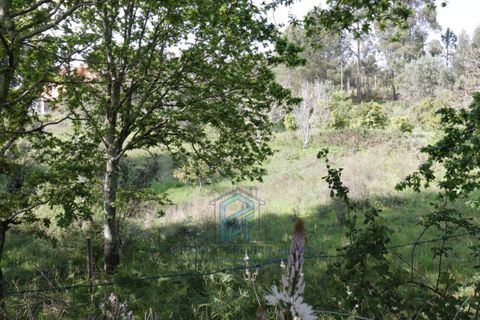 Helårsgrund i Gondomar, Porto, Gondomar - € 99.500 | Ref: TE0156 - foto 16
