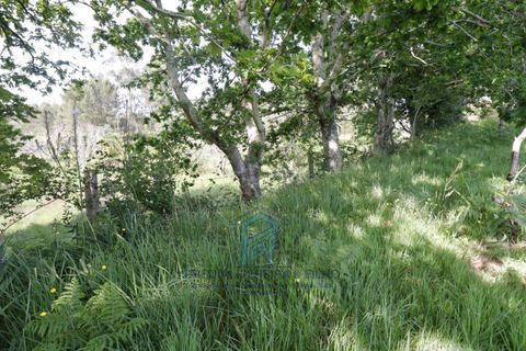 Helårsgrund i Gondomar, Porto, Gondomar - € 99.500 | Ref: TE0156 - foto 17