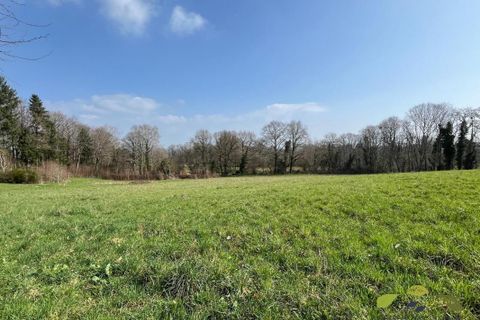 Helårsgrund i Royeres, Haute-Vienne, Royeres - € 39.000 | Ref: 3986_S - foto 1
