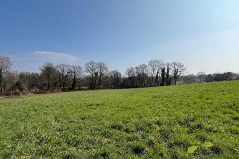 Helårsgrund i Royeres, Haute-Vienne, Royeres - € 39.000 | Ref: 3986_S - foto 2