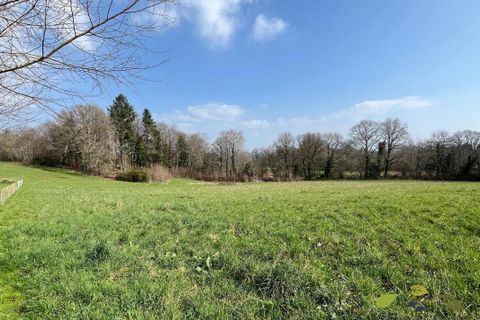 Helårsgrund i Royeres, Haute-Vienne, Royeres - € 39.000 | Ref: 3986_S - foto 4