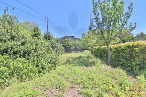 Byhus i Amares, Braga, Amares - € 550.000 | Ref: 013-4189 - foto 34