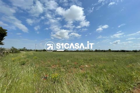 Terra a Galatone, Lecce, Galatone - € 44.000 | Ref: VSL-1346 - foto 2