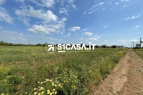 Terra a Galatone, Lecce, Galatone - € 44.000 | Ref: VSL-1346 - foto 3