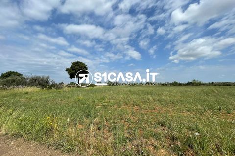 Terra a Galatone, Lecce, Galatone - € 44.000 | Ref: VSL-1346 - foto 4