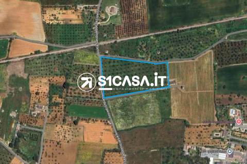 Terra a Galatone, Lecce, Galatone - € 44.000 | Ref: VSL-1346 - foto 5