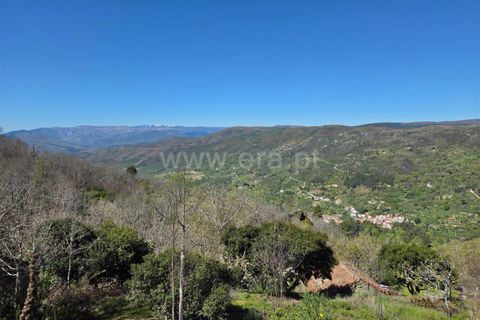 Landejendom i Guarda, Guarda, Guarda - € 52.500 | Ref: 046250148 - foto 7