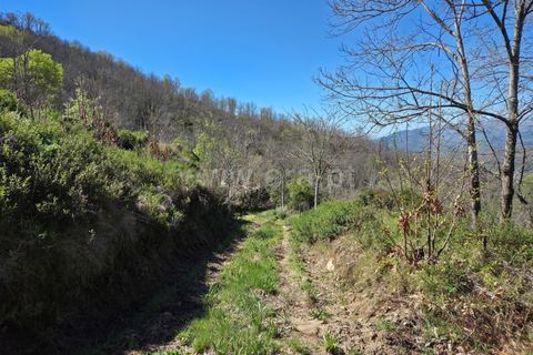 Landejendom i Guarda, Guarda, Guarda - € 52.500 | Ref: 046250148 - foto 8