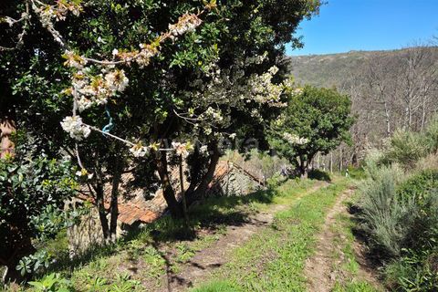 Landejendom i Guarda, Guarda, Guarda - € 52.500 | Ref: 046250148 - foto 9