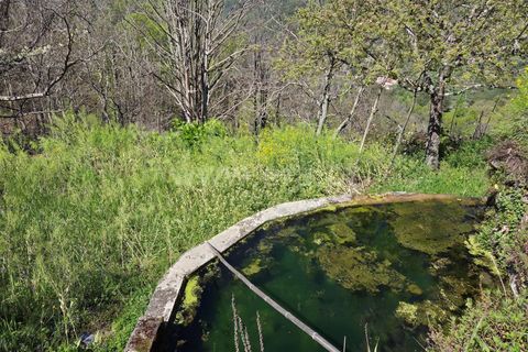 Landejendom i Guarda, Guarda, Guarda - € 52.500 | Ref: 046250148 - foto 13