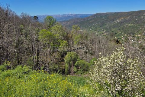 Landejendom i Guarda, Guarda, Guarda - € 52.500 | Ref: 046250148 - foto 15