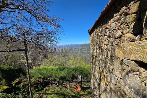 Landejendom i Guarda, Guarda, Guarda - € 52.500 | Ref: 046250148 - foto 21
