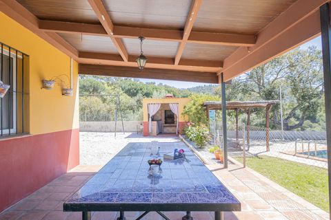 Terra a El Pedroso, Sevilla, El Pedroso - € 300.000 | Ref: 3566-00975/7688 - foto 8