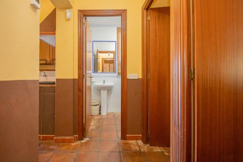 Terra a El Pedroso, Sevilla, El Pedroso - € 300.000 | Ref: 3566-00975/7688 - foto 17