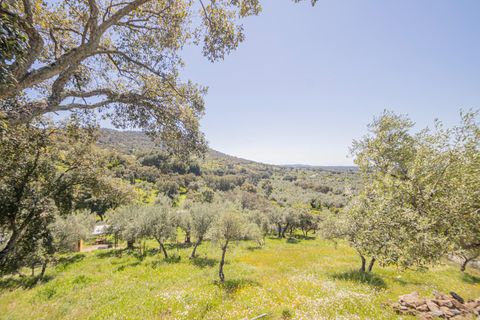 Terra a El Pedroso, Sevilla, El Pedroso - € 300.000 | Ref: 3566-00975/7688 - foto 31