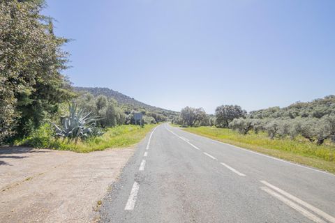 Terra a El Pedroso, Sevilla, El Pedroso - € 300.000 | Ref: 3566-00975/7688 - foto 34