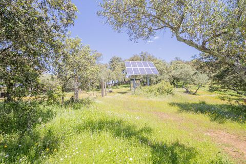 Terra a El Pedroso, Sevilla, El Pedroso - € 300.000 | Ref: 3566-00975/7688 - foto 36
