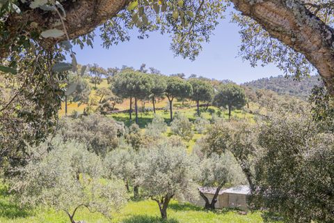 Terra a El Pedroso, Sevilla, El Pedroso - € 300.000 | Ref: 3566-00975/7688 - foto 41