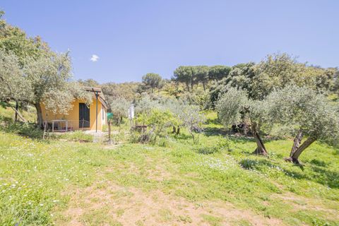 Helårsgrund i El Pedroso, Sevilla, El Pedroso - € 300.000 | Ref: 3566-00975/7688 - foto 40
