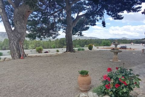 Cortijo i Chirivel, Almeria, Chirivel - € 499.000 | Ref: E260 - foto 25