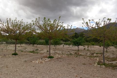 Cortijo i Chirivel, Almeria, Chirivel - € 499.000 | Ref: E260 - foto 29