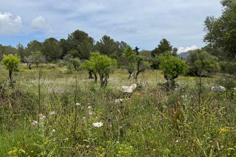Landejendom i Arta, Mallorca, Arta - € 525.000 | Ref: 4695V - foto 14