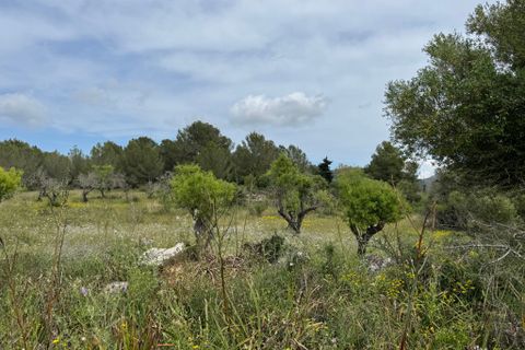 Landejendom i Arta, Mallorca, Arta - € 525.000 | Ref: 4695V - foto 16