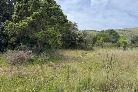 Landejendom i Arta, Mallorca, Arta - € 525.000 | Ref: 4695V - foto 19