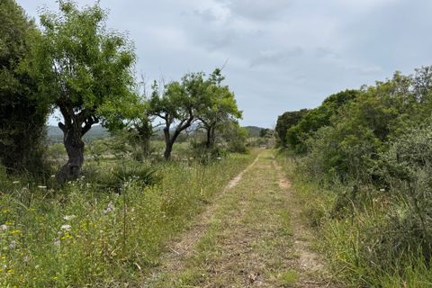 Landejendom i Arta, Mallorca, Arta - € 525.000 | Ref: 4695V - foto 20