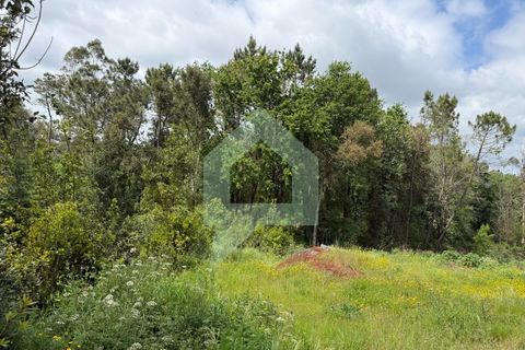 Helårsgrund i Arentim e Cunha, Braga, Arentim e Cunha - € 80.000 | Ref: TER_3437 - foto 3