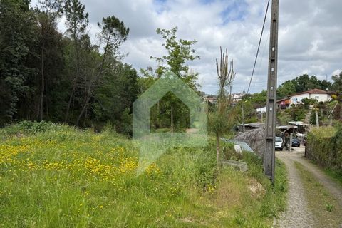 Helårsgrund i Arentim e Cunha, Braga, Arentim e Cunha - € 80.000 | Ref: TER_3437 - foto 5