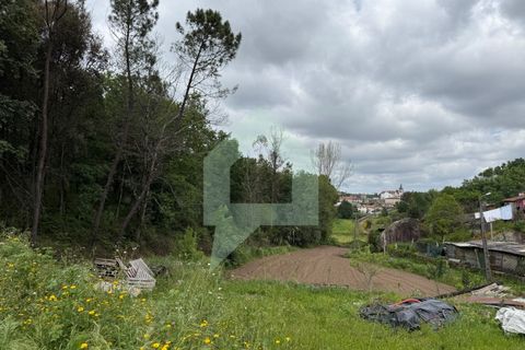 Helårsgrund i Arentim e Cunha, Braga, Arentim e Cunha - € 80.000 | Ref: TER_3437 - foto 10