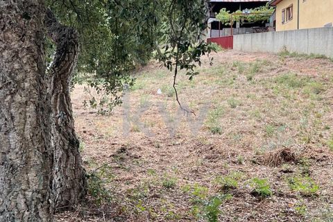 Helårsgrund i Anadia, Aveiro, Anadia - € 59.500 | Ref: KWPT-006004 - foto 1