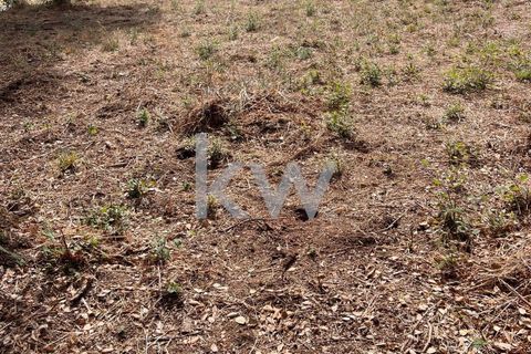 Helårsgrund i Anadia, Aveiro, Anadia - € 59.500 | Ref: KWPT-006004 - foto 2