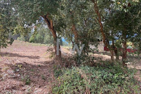 Helårsgrund i Anadia, Aveiro, Anadia - € 59.500 | Ref: KWPT-006004 - foto 5