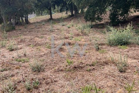 Helårsgrund i Anadia, Aveiro, Anadia - € 59.500 | Ref: KWPT-006004 - foto 6