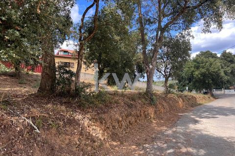 Helårsgrund i Anadia, Aveiro, Anadia - € 59.500 | Ref: KWPT-006004 - foto 7