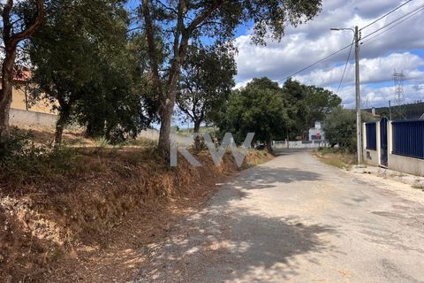 Helårsgrund i Anadia, Aveiro, Anadia - € 59.500 | Ref: KWPT-006004 - foto 8