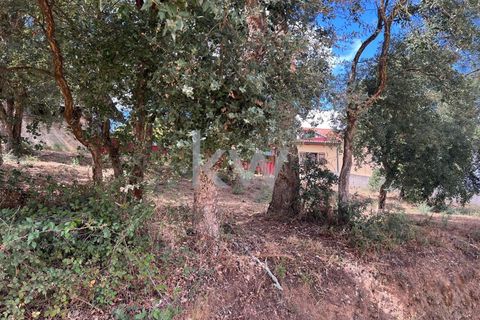 Helårsgrund i Anadia, Aveiro, Anadia - € 59.500 | Ref: KWPT-006004 - foto 9