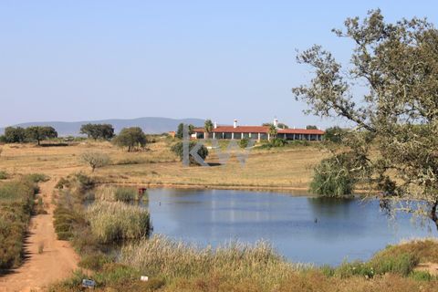 Farm i Serpa, Beja, Serpa - € 1.495.000 | Ref: KWPT-004694 - foto 2
