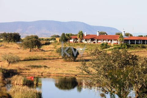 Farm i Serpa, Beja, Serpa - € 1.495.000 | Ref: KWPT-004694 - foto 3