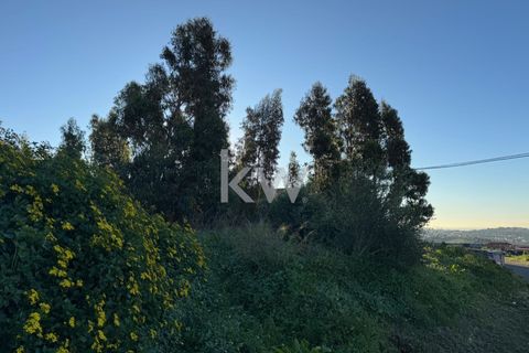 Helårsgrund i Cascais, Lisbon, Cascais - € 650.000 | Ref: KWPT-009468 - foto 7