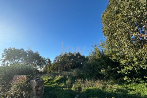 Helårsgrund i Cascais, Lisbon, Cascais - € 650.000 | Ref: KWPT-009468 - foto 12