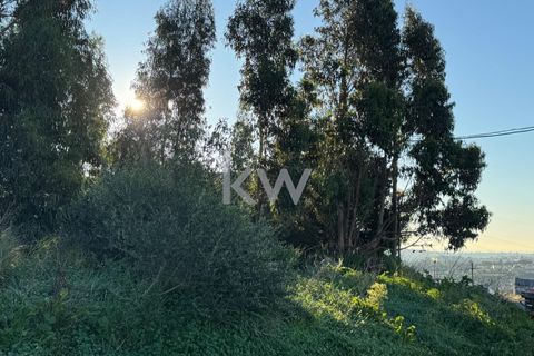 Helårsgrund i Cascais, Lisbon, Cascais - € 650.000 | Ref: KWPT-009468 - foto 13