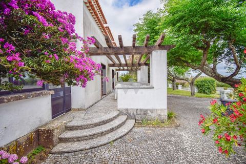 Farm i Setubal, Setubal, Setubal - € 1.390.000 | Ref: KWPT-002637 - foto 43